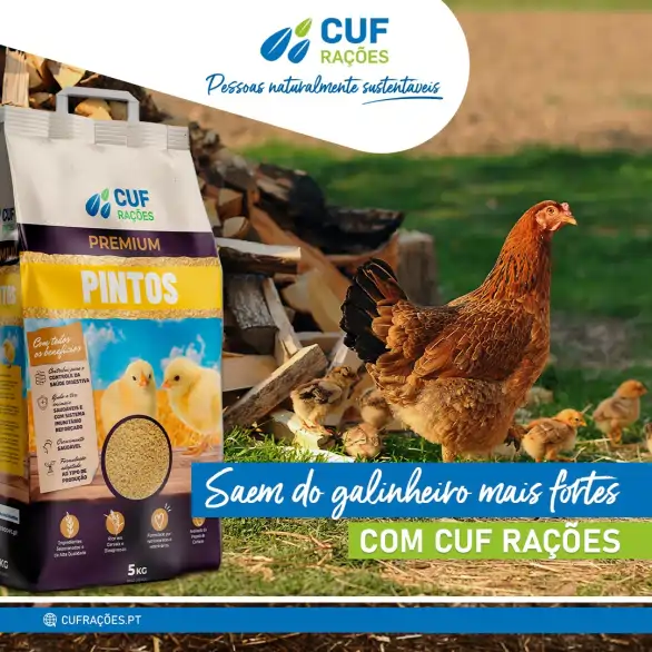 Social Media CUF Rações